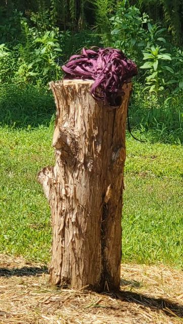 Dyed and gone to Eggplant. It grows on the Rit Bush. 

#Eggplant #RitEggplan #Kudzu #DyedKudzu #kudzuweaving