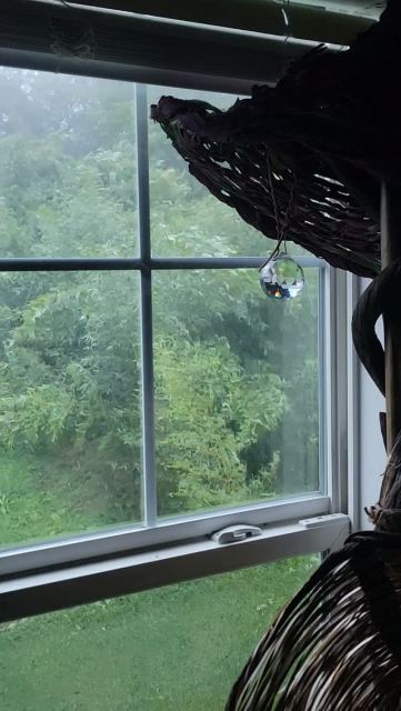 Bamboo in a summer storm. 

#BambooStorm #storm #summerstorm #raindrops #carolinabamboo