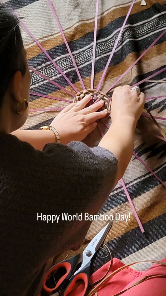 Happy World Bamboo Day! ✨️💚✨️

WE LOVE BAMBOO! ✨️💚✨️

#CarolinaBamboo #WorldBambooDay #worldbambooday2026 #BambooEducation #basketweaving